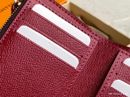 Aaa replica bags Vuitton Louis Wallet VICTORINE 0804